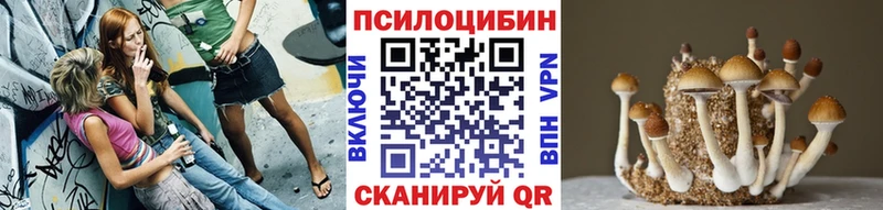 Псилоцибиновые грибы прущие грибы KRAKEN сайт Коммунар продажа наркотиков
